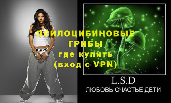 тгк Медвежьегорск