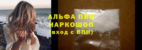 шишки Мегион