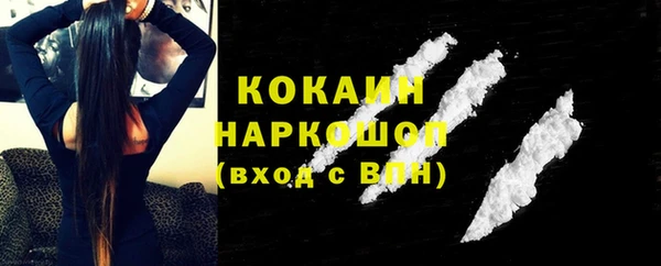шишки Мегион