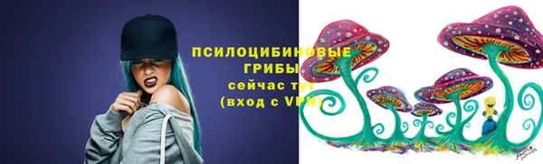 шишки Мегион