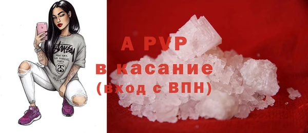 шишки Мегион