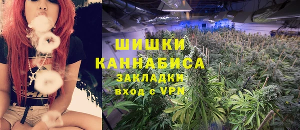 шишки Мегион