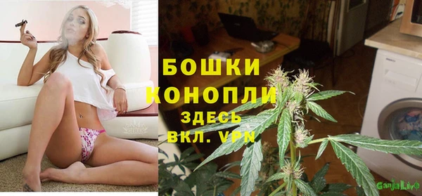 шишки Мегион