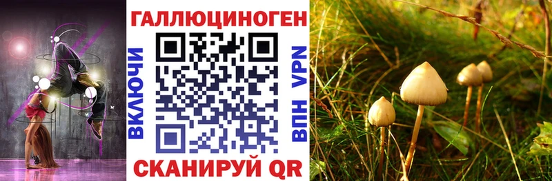 Псилоцибиновые грибы Magic Shrooms  Ставрополь 